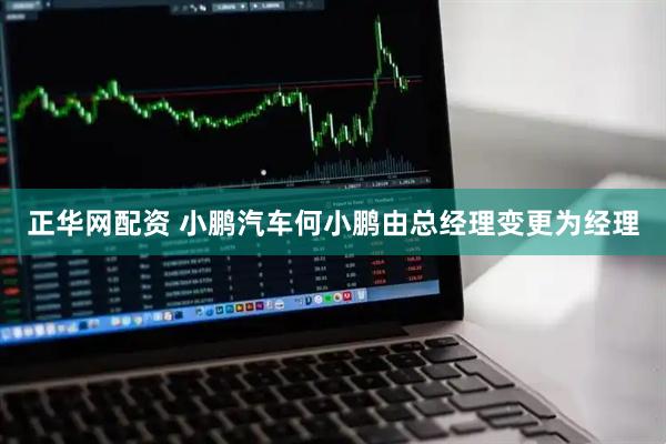 正华网配资 小鹏汽车何小鹏由总经理变更为经理